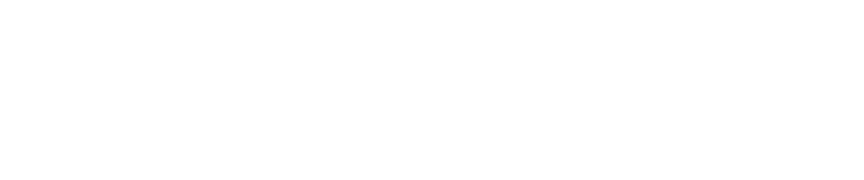  Faces